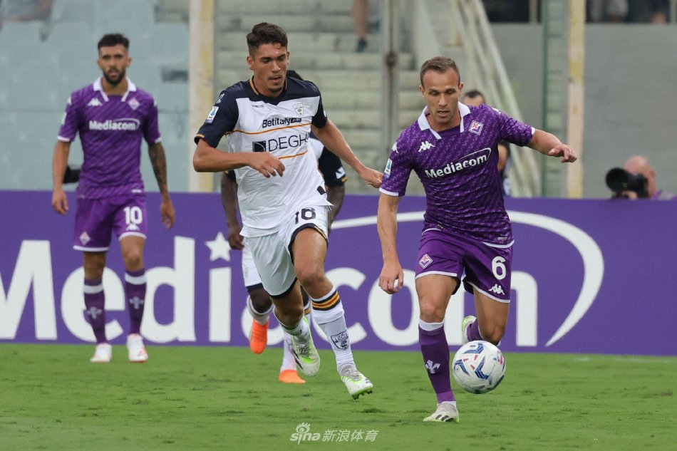 南安普敦主 南安普敦主